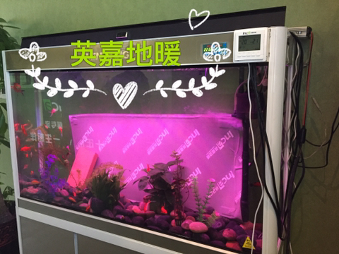 十全十美的供暖系統(tǒng)，您的最佳選擇